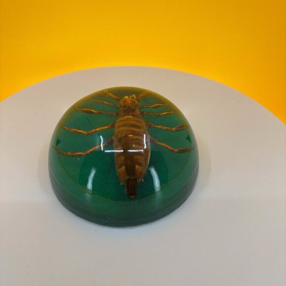 Scorpion Encased in Pexiglass - Picture 13 of 16